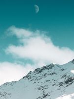 green trees on mountain wallpaper