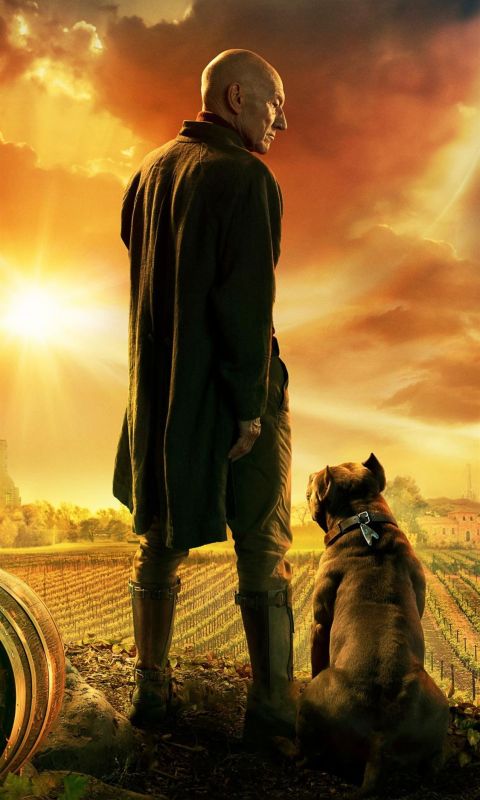 Star Trek Picard Awesome Free HD wallpaper