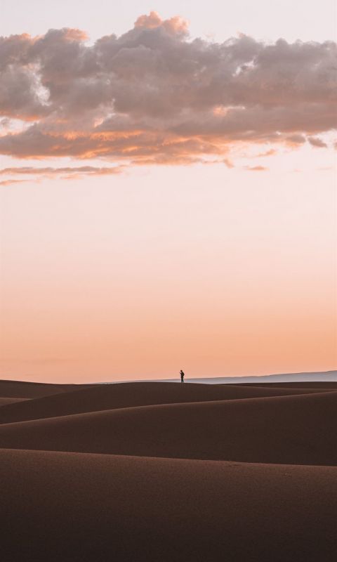 silhouette of person standing on desert wallpaper