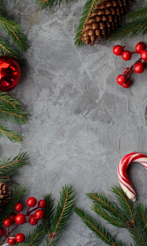 flat lay photography of pine cones candy cane gree... wallpaper