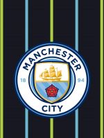 Tottenham Vs Manchester City Champions League HD wallpaper