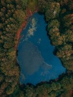 aerial view of lake surrounded by trees wallpaper