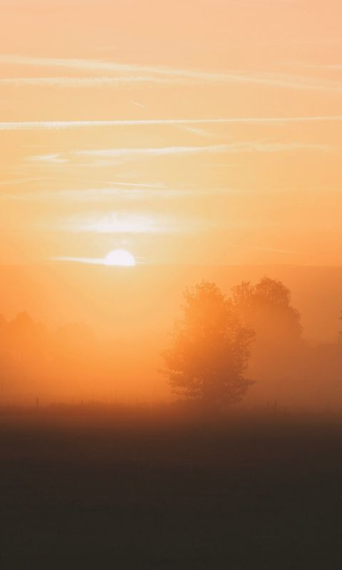 golden hour wallpaper