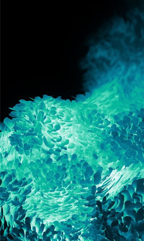 Samsung Galaxy S20 Use18 2190000065 wallpaper