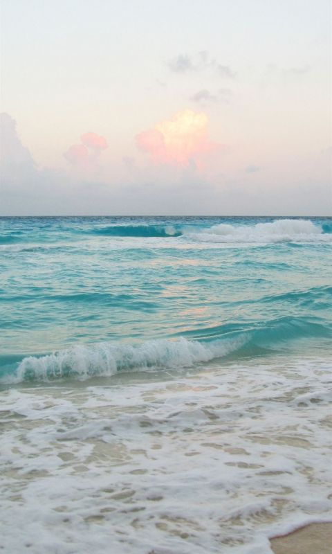 Bermuda Top Free Bermuda wallpaper