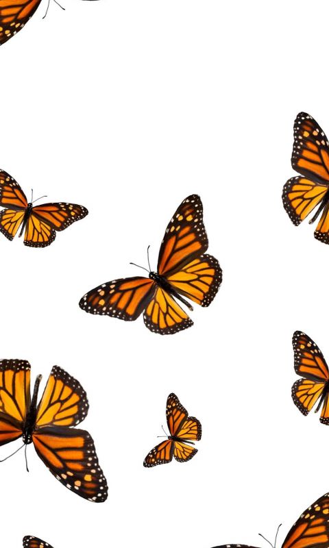 Idea by Gaby Rodriguez on Backgrounds wallpaper