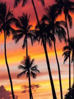 Paisagens wallpaper