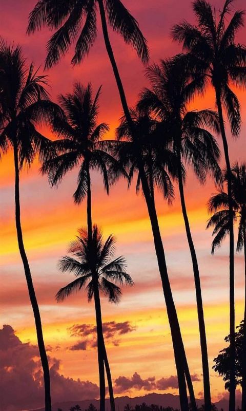 Paisagens wallpaper