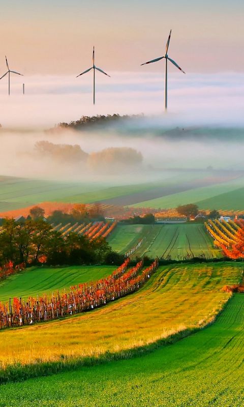 wind mills