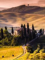 Natural Landscape