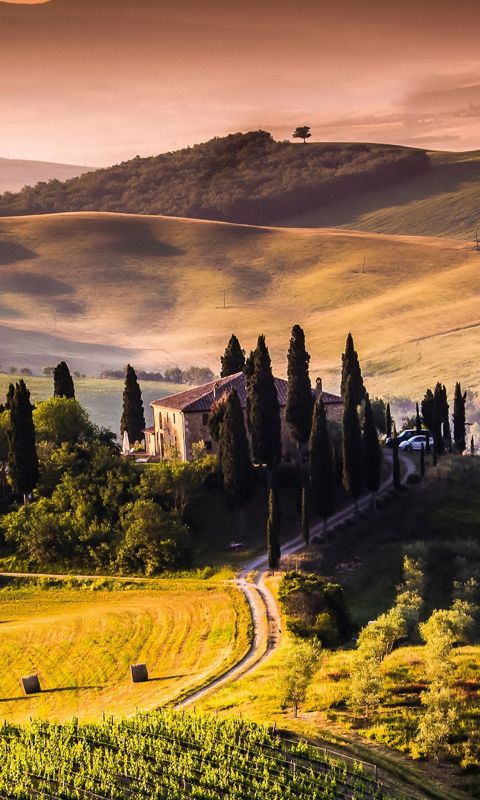 Natural Landscape