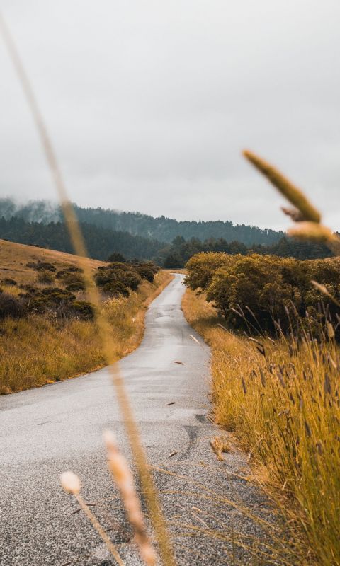 Road
