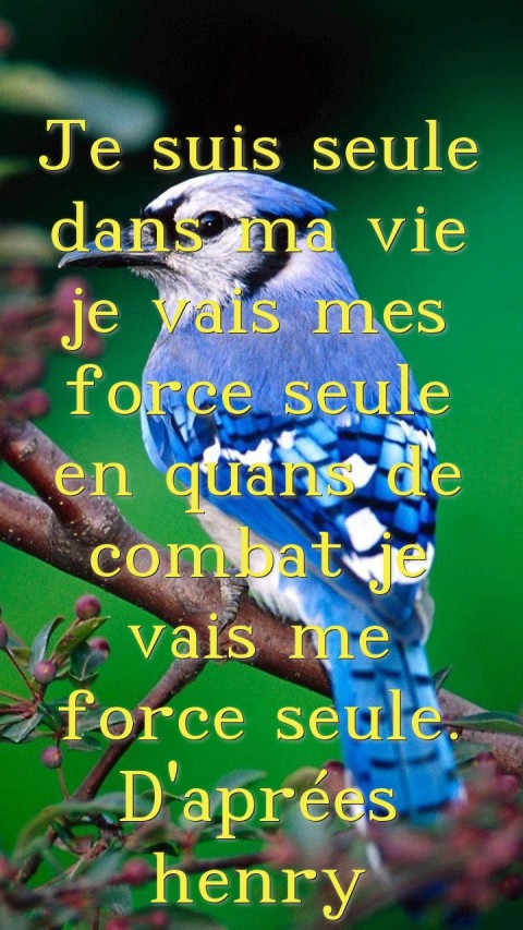 Je suis seule dans ma vie je vais mes force seule en quans de combat je vais me force seule. D'aprées henry Text Wallpaper